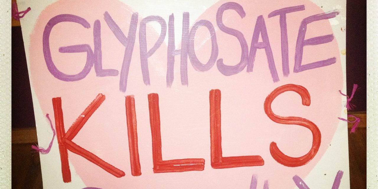 Glyphosate declared a ‘probable human carcinogen’