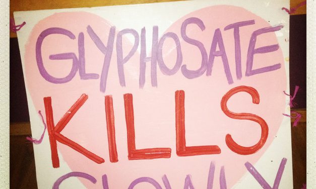 Glyphosate declared a ‘probable human carcinogen’