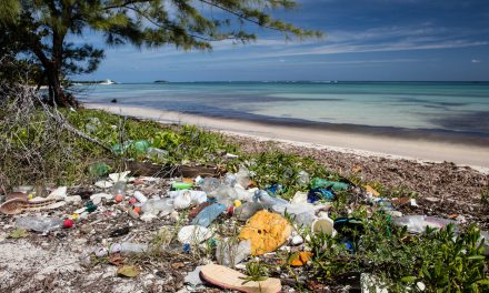 New toxic time bomb: Contaminants in marine plastic pollution
